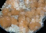 Peach Stilbite With Calcite - Moore's Station, New Jersey #33462-1